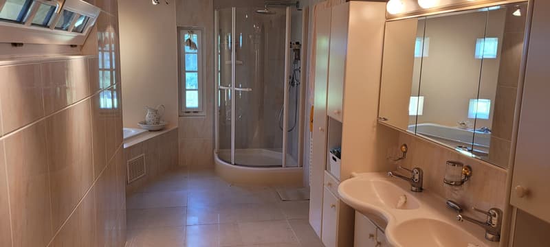 Chalet, 7.5 pièces, 525.00 m2