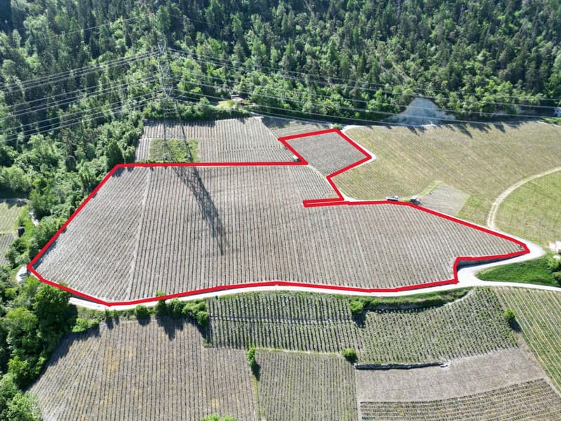 Terrain agricole, 12794.00 m2