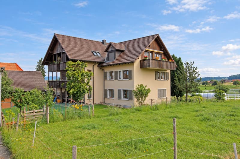 Viu Liecht, zwöi Baukön und dr Blick is Grüene (1)