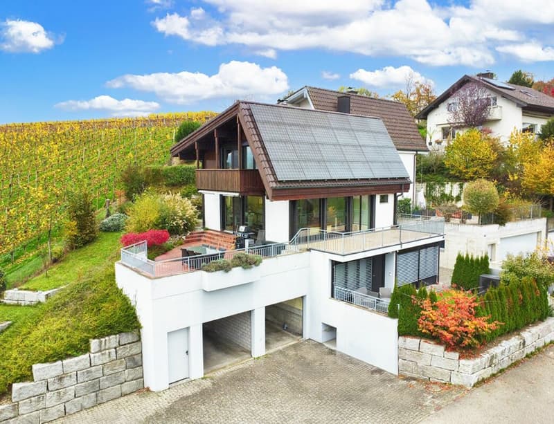 der unverbaubare Rebberg als Nachbar