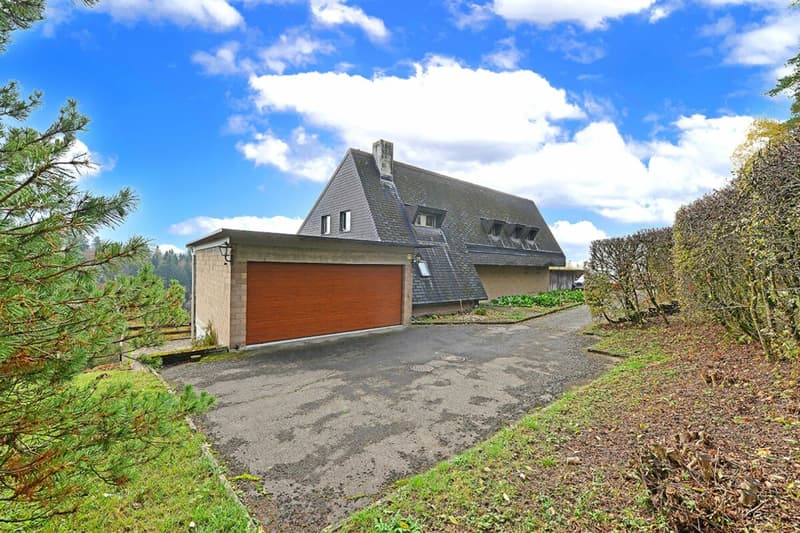 Maison de campagne de 6,5 pièces avec grand terrain (3)