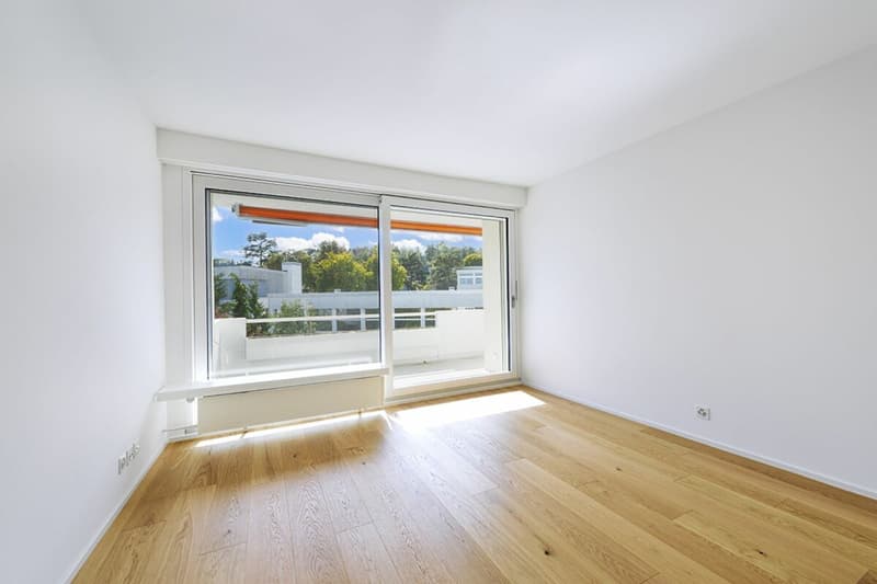 5.5 Zimmer-Attikawohnung mit grosser Terrasse und fantastischem Panoramablick (6)