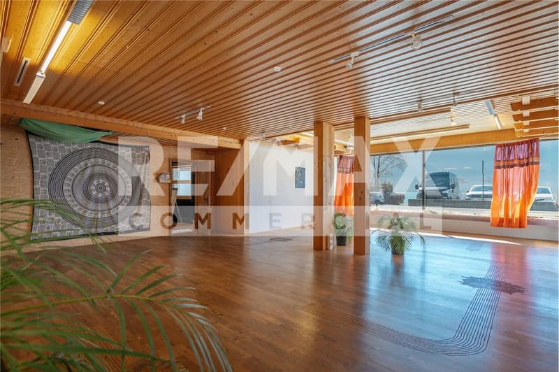 Espaces commerciaux intéressants à louer dans un excellent emplacement à Brienz (11)