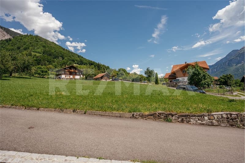 Fantastische Baulandparzelle mit Seesicht an absolut ruhiger Lage in Brienz (10)