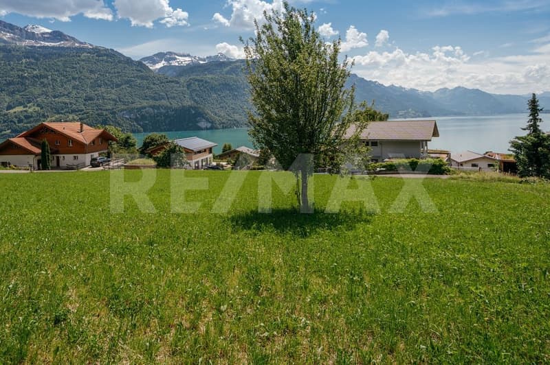 Fantastische Baulandparzelle mit Seesicht an absolut ruhiger Lage in Brienz (2)
