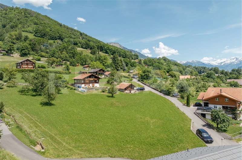 Fantastische Baulandparzelle mit Seesicht an absolut ruhiger Lage in Brienz (7)