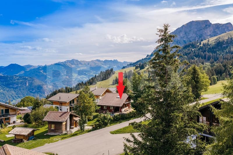 Herziges Chalet auf der Axalp - da wo aus Ferien Erinnerungen werden (2)