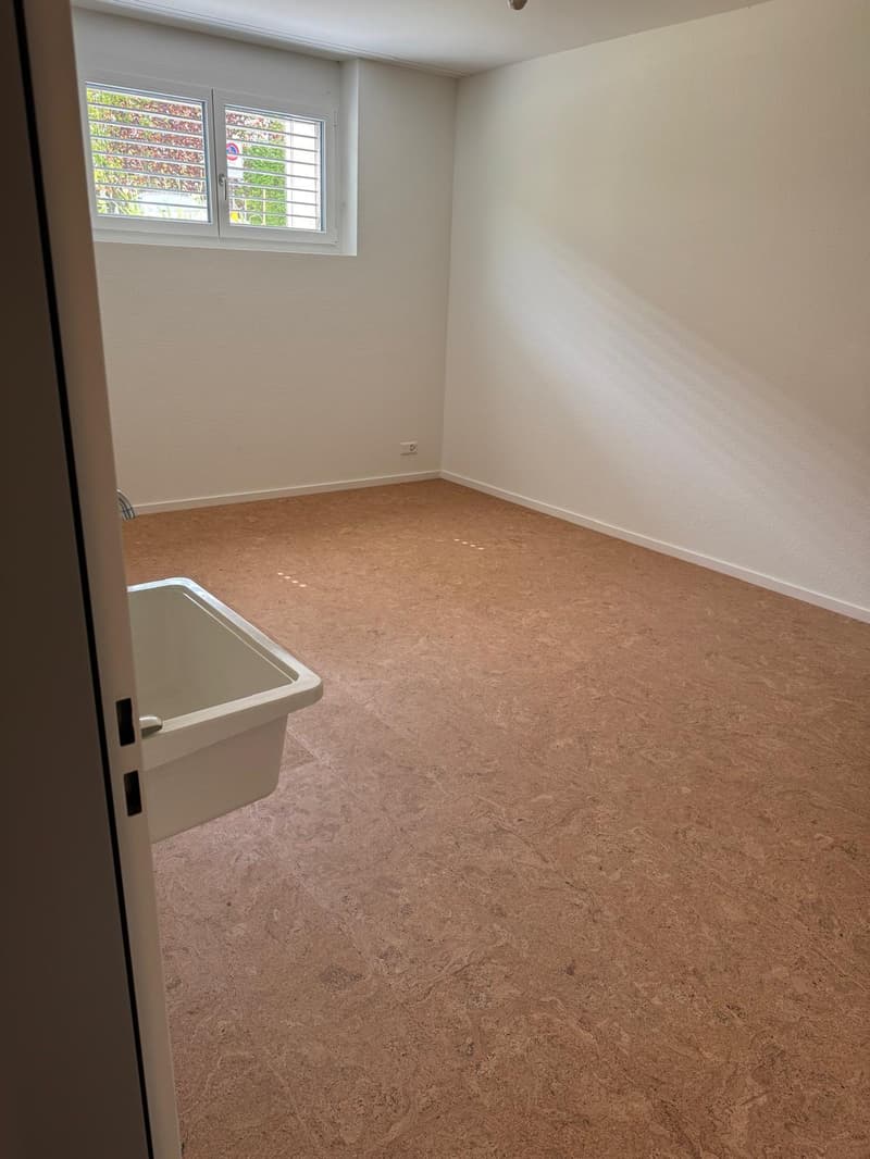 empty room, white walls, brown floor, window, sink