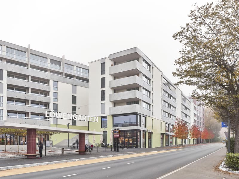 Attraktive Ladenfläche inkl. Lager (172m2) im Löwengarten-Quartier (6)
