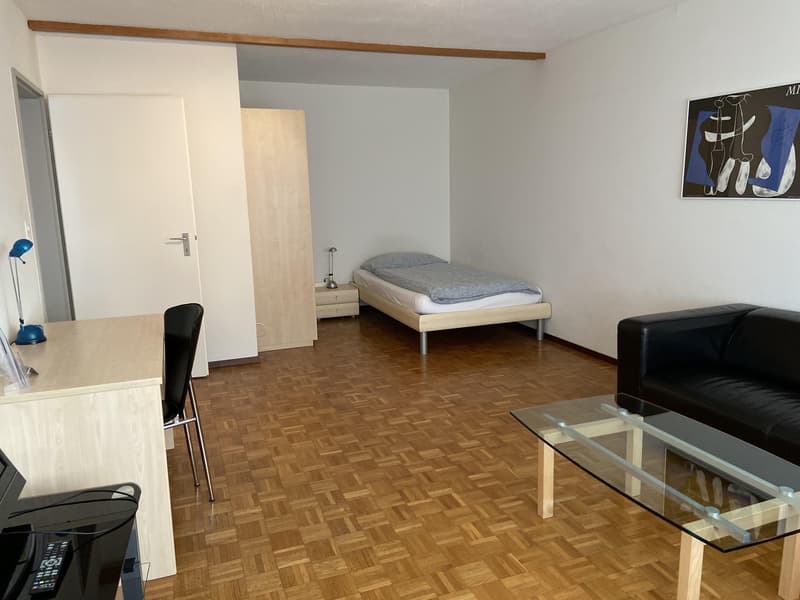 2.5-Zimmerwohnung in Niederuzwil (6)