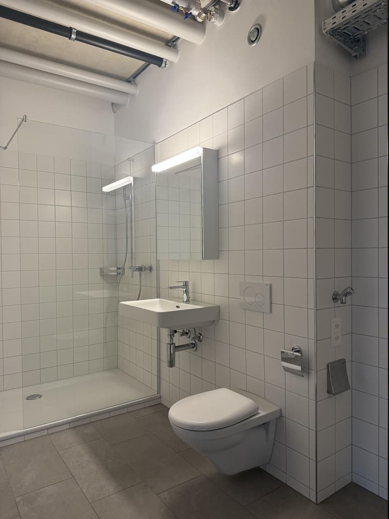Attraktives Atelier (105m2) in Rorschach (4)