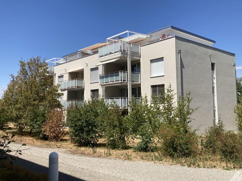 Disporaum in Uzwil zu vermieten (1)