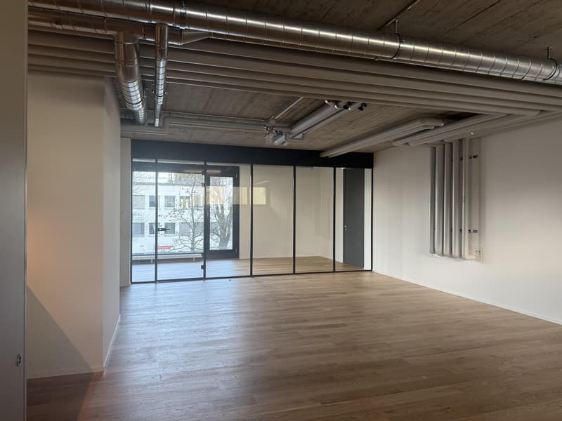 Attraktives Atelier (56m2) in Rorschach (4)