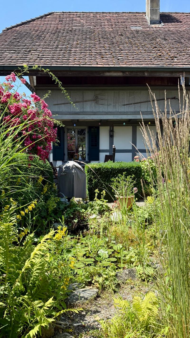 Haus mit Naturteich