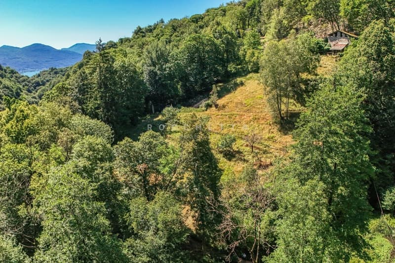 Paradiso naturale con incantevole vista, terreni agricoli e boschivi (12)
