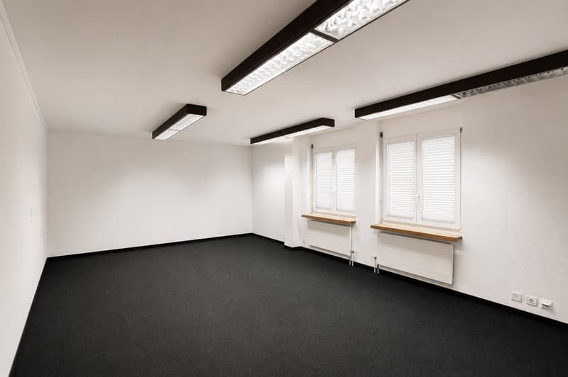 Grosszügige Wohnung in zentraler Lage (5)