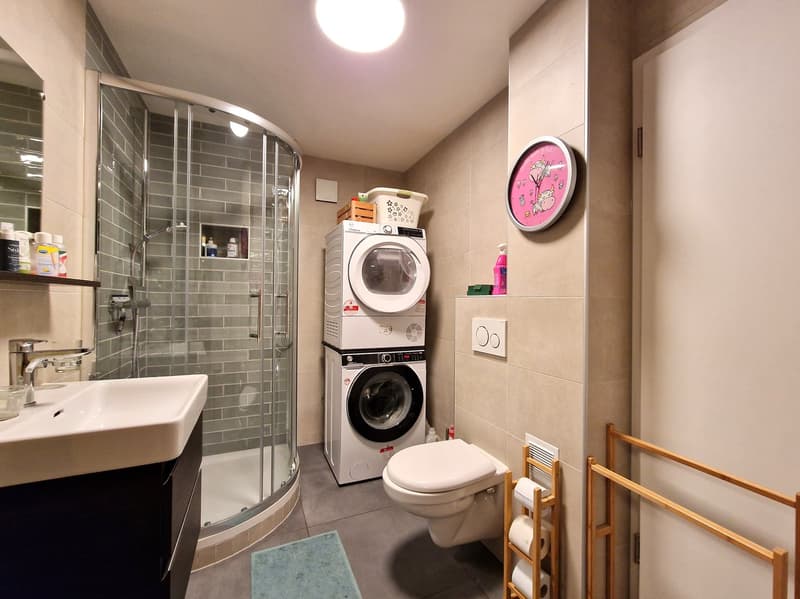 shower, toilet, sink, washing machine, dryer, shelves, mirror, towel rack