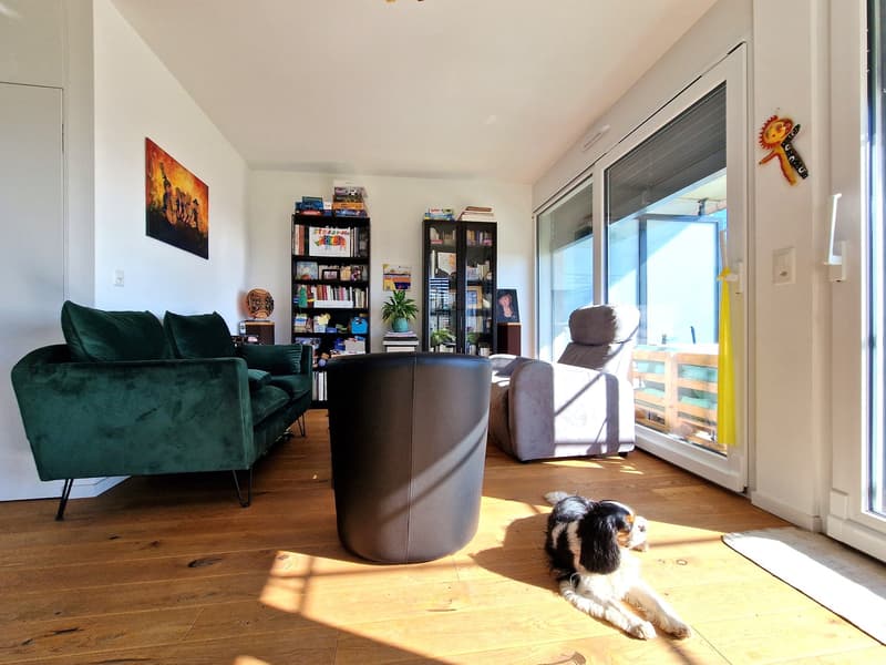 living room with green couch, round chair, gray armchair, bookshelves, sliding glass door, wooden floor, dog