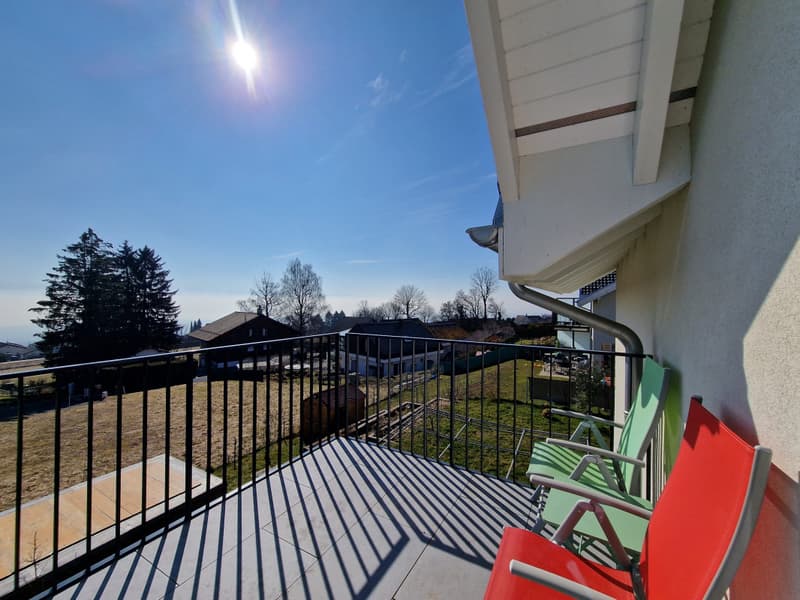 Opportunité à saisir: Beautiful Lake Villa, Arzier-Le - Muids (8)