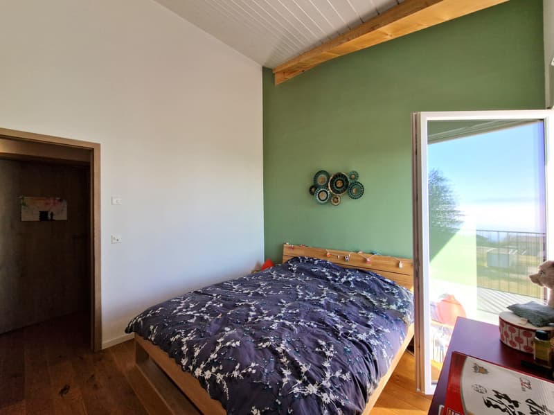 Opportunité à saisir: Beautiful Lake Villa, Arzier-Le - Muids (7)
