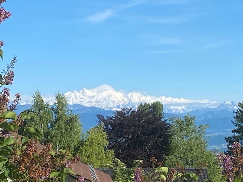 En exclusivité:Très belle Maison familiale au coeur du Village d'Arzier-Le-Muids (3)