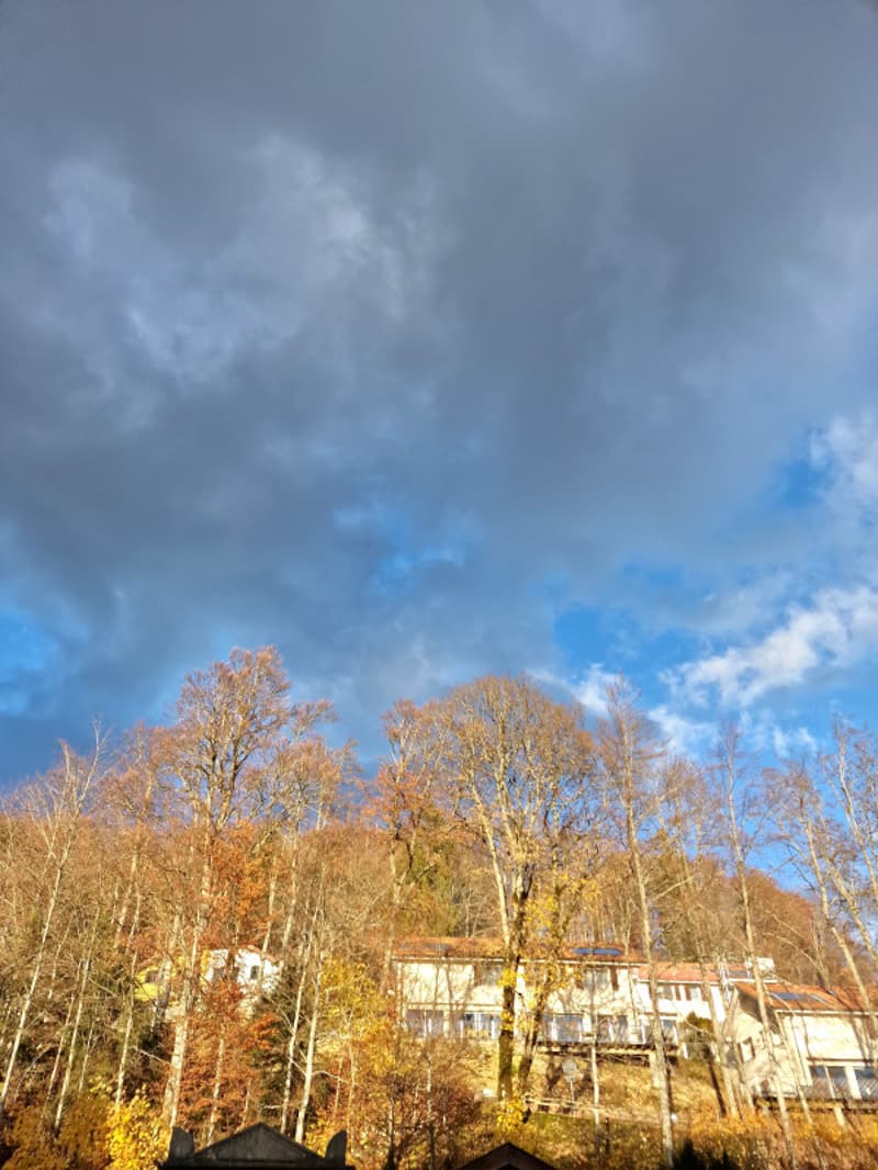 Magnifique Appartement avec une très belle terrasse de 25 m2 au centre St-Cergue (10)