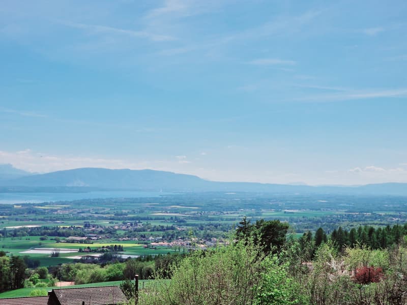 En exclusivité: Lake view Villa, magnifique Villa individuelle à Arzier-Le-Muids (1)