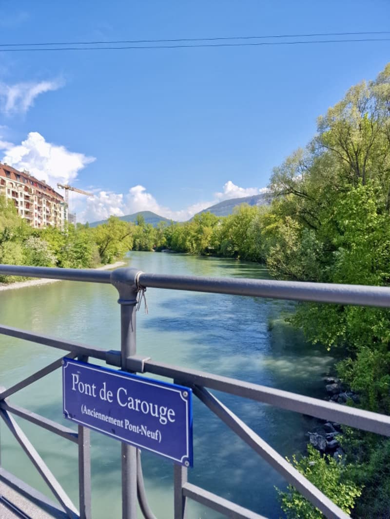 En exclusivité: Beautiful Town Apartment, Plainpalais, off market (3)