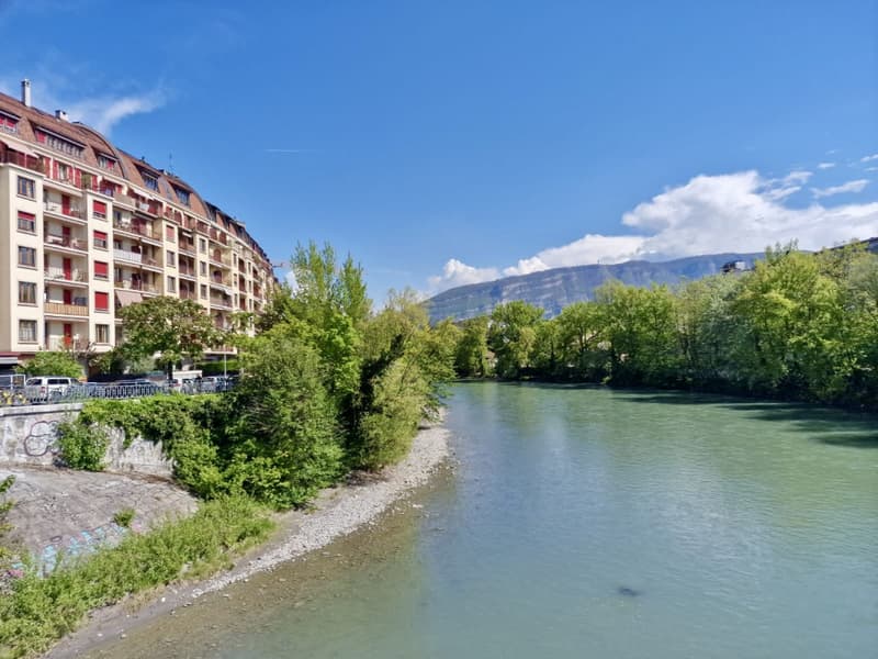 En exclusivité: Beautiful Town Apartment, Plainpalais, off market (2)