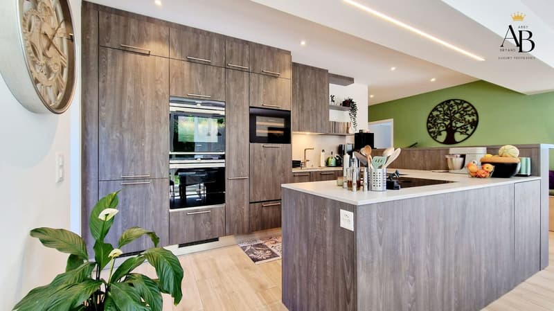 Opportunité à saisir : Appartement Horizon Vert et son magnifique jardin (3)