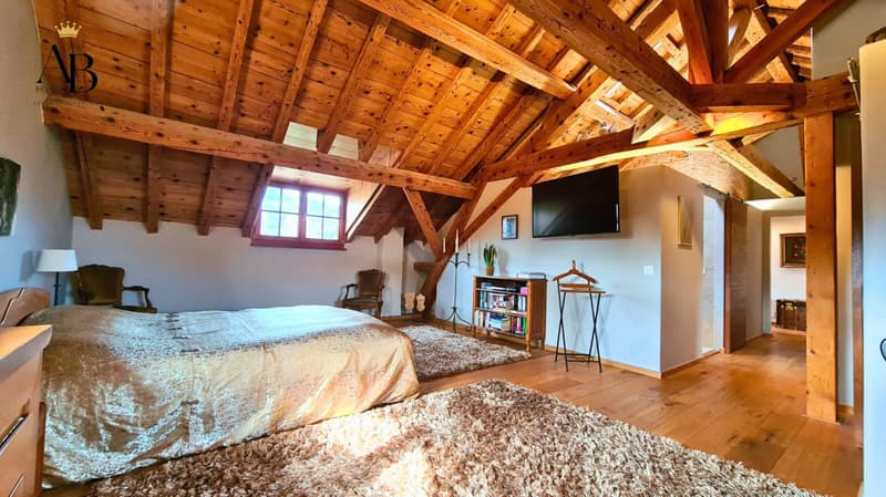 La prestigieuse et authentique propriété familiale à 5 minutes de Nyon (5)
