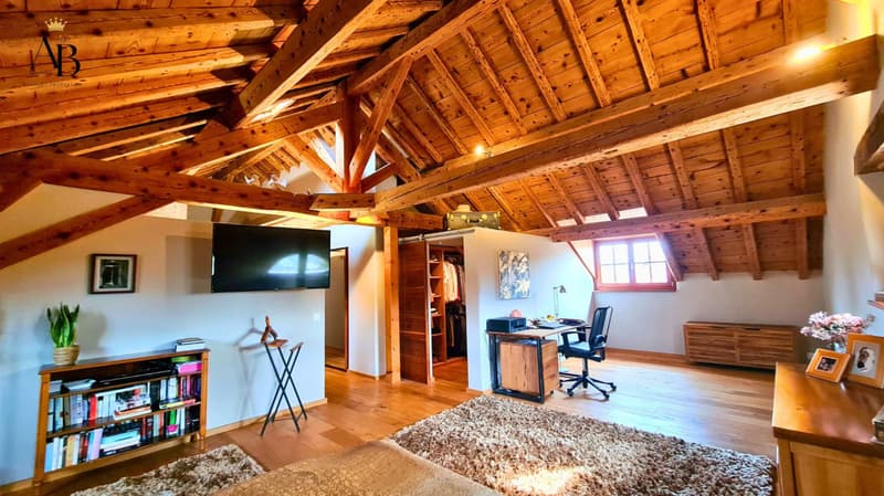 La prestigieuse et authentique propriété familiale à 5 minutes de Nyon (4)
