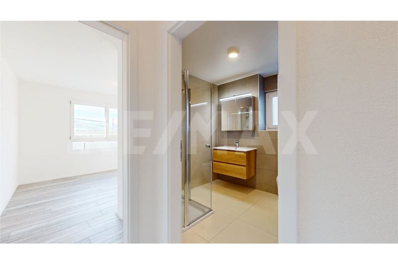 Magnifique 3,5 pces de 100 m2 à 15 min du centre de Fribourg / Exclusivité RE/MAX (3)