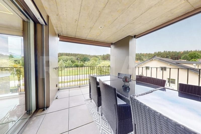 Plus quun appartement, un art de vivre (4)