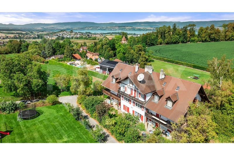 APPARTEMENT RÉNOVÉ DE 4 PIÈCES AVEC BALCON XXL ET CADRE IDYLLIQUE (1)