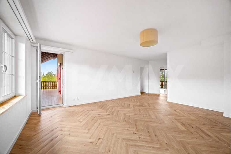 APPARTEMENT RÉNOVÉ DE 4 PIÈCES AVEC BALCON XXL ET CADRE IDYLLIQUE (4)