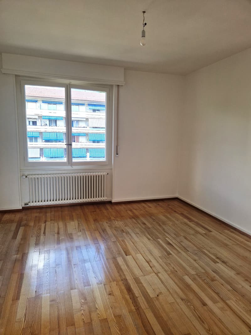 Appartement de 3.5 pièces avec vue sur lac (4)