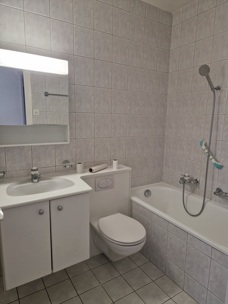 Appartement de 3.5 pièces avec vue sur lac (7)