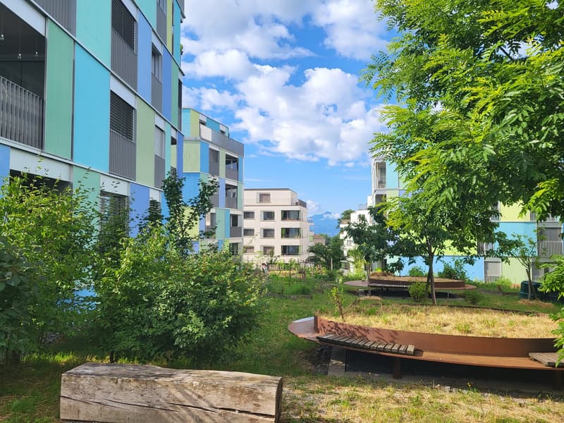 Appartement spacieux en attique de 4.5 pièces (1)
