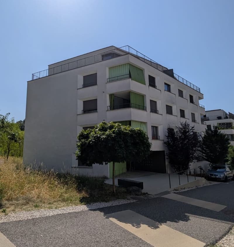 Appartement spacieux en attique de 4.5 pièces (2)