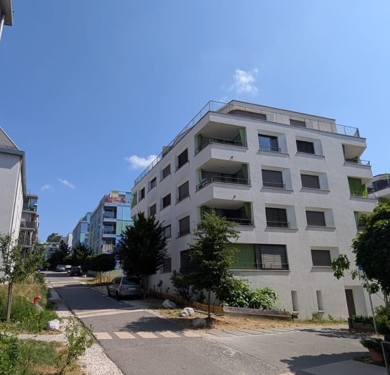 Appartement spacieux en attique de 4.5 pièces (1)