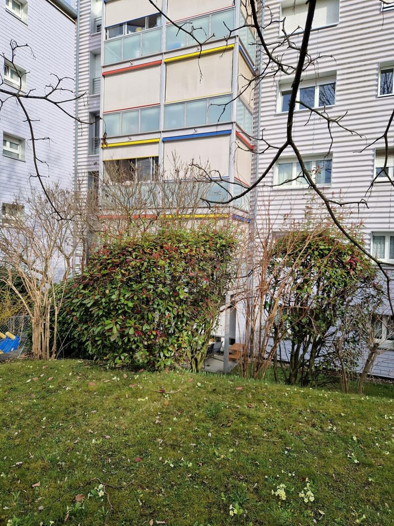 Appartement de 1.5 pièce à louer dans le quartier de Bellevaux (1)