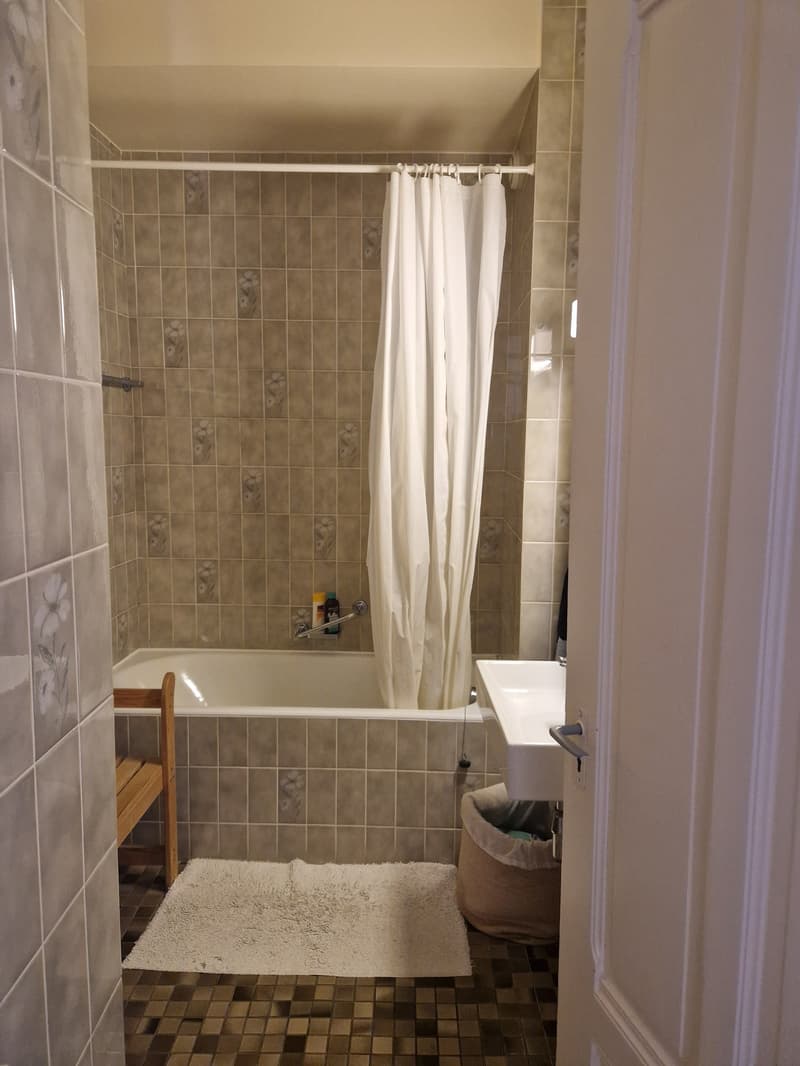 Appartement de 2 pièces à Lausanne (4)