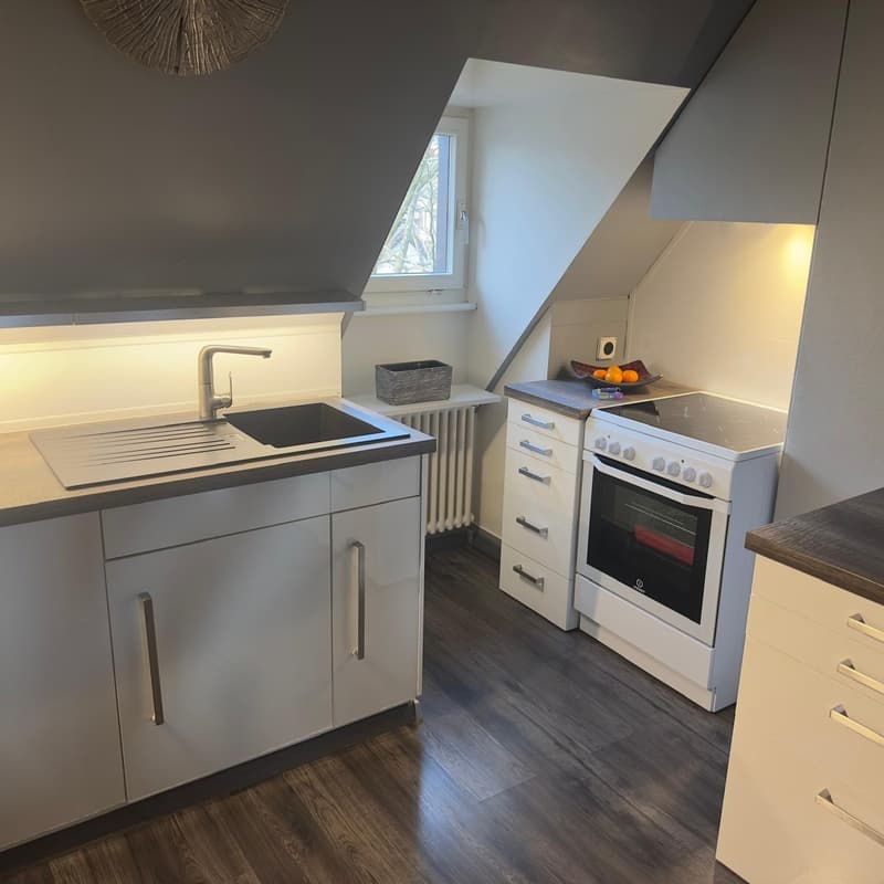 Appartement de 3.5 pièces au 3ème étage dans le quartier de Bellevaux (3)