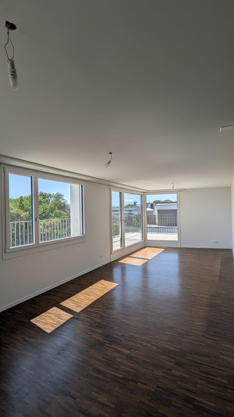 Lumineux appartement de 4 pièces avec balcon vue lac et montagnes (2)