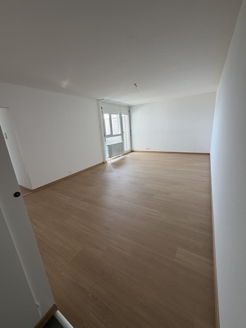 Appartement de 3 pièces au 14ème étage dans le quartier de Longemalle (4)