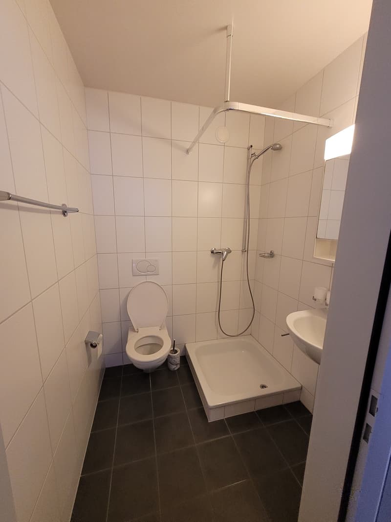Spacieux appartement de 4.5 pièces avec balcon à Renens (2)