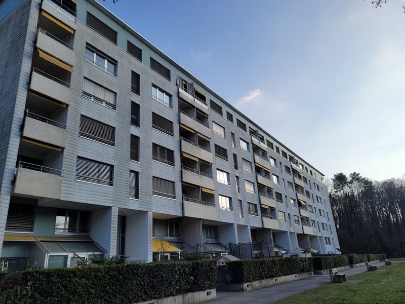 Spacieux appartement de 4.5 pièces avec balcon à Renens (1)
