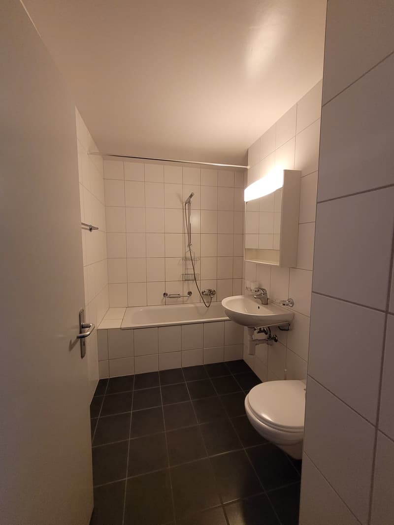 Spacieux appartement de 4.5 pièces avec balcon à Renens (5)