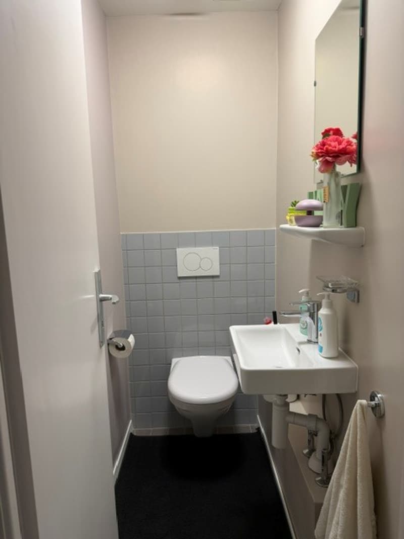 Appartement 4.5 pièces avec 2 balcons à Chavannes-près-Renens (9)
